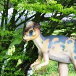 Tolk-Schau - Tal der Dinosauroer - 018